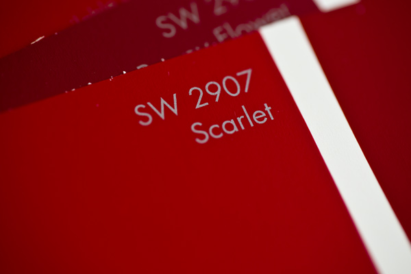 scarlet2.jpg